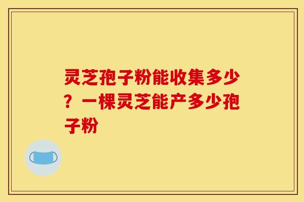 灵芝孢子粉能收集多少?一棵灵芝能产多少孢子粉 灵芝孢子粉能收集多少?一棵灵芝能产多少孢子粉