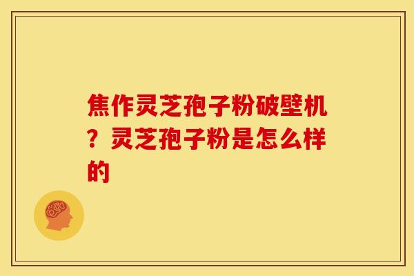 焦作灵芝孢子粉破壁机?灵芝孢子粉是怎么样的 焦作灵芝孢子粉破壁机?灵芝孢子粉是怎么样的