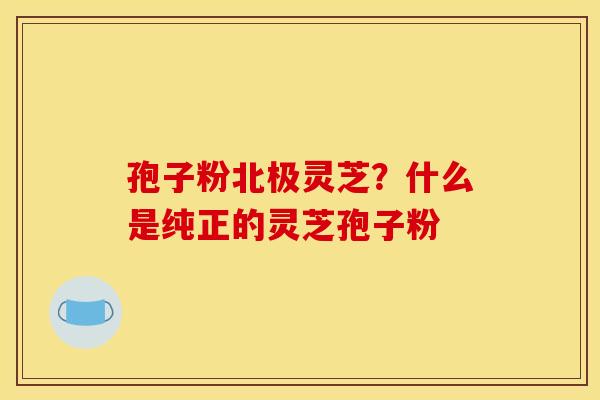孢子粉北极灵芝?什么是纯正的灵芝孢子粉 孢子粉北极灵芝?什么是纯正的灵芝孢子粉
