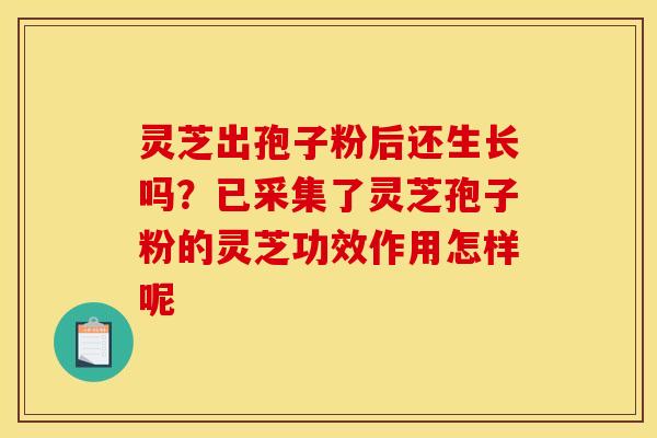 灵芝出孢子粉后还生长吗?已采集了灵芝孢子粉的灵芝功效作用怎样呢 灵芝出孢子粉后还生长吗?已采集了灵芝孢子粉的灵芝功效作用怎样呢