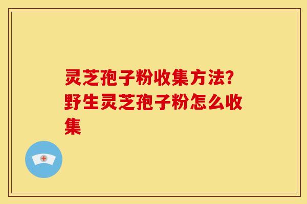 灵芝孢子粉收集方法?野生灵芝孢子粉怎么收集 灵芝孢子粉收集方法?野生灵芝孢子粉怎么收集