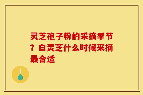 灵芝孢子粉的采摘季节?白灵芝什么时候采摘合适 灵芝孢子粉的采摘季节?白灵芝什么时候采摘合适