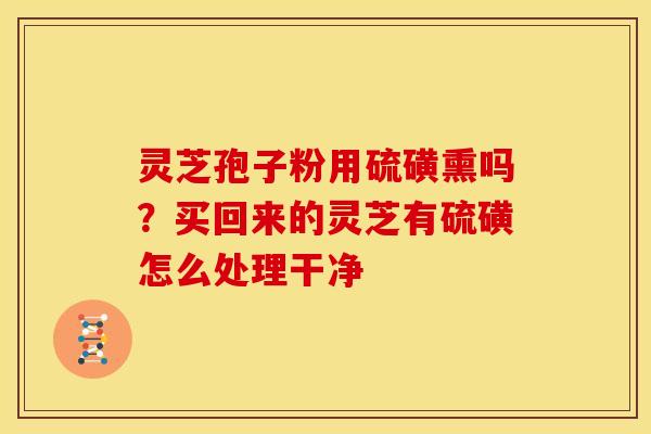 灵芝孢子粉用硫磺熏吗?买回来的灵芝有硫磺怎么处理干净 灵芝孢子粉用硫磺熏吗?买回来的灵芝有硫磺怎么处理干净