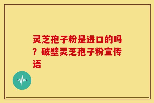 灵芝孢子粉是进口的吗?破壁灵芝孢子粉宣传语 灵芝孢子粉是进口的吗?破壁灵芝孢子粉宣传语