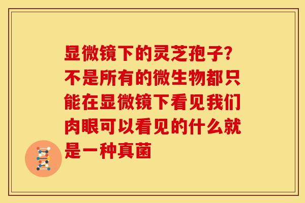 显微镜下的灵芝孢子?不是所有的微生物都只能在显微镜下看见我们肉眼可以看见的什么就是一种真菌 显微镜下的灵芝孢子?不是所有的微生物都只能在显微镜下看见我们肉眼可以看见的什么就是一种真菌