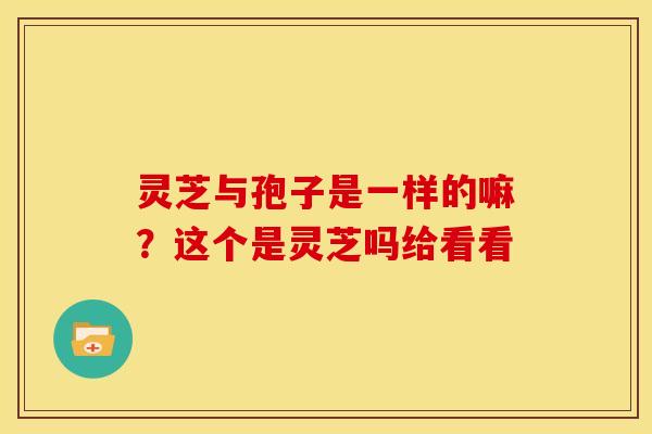 灵芝与孢子是一样的嘛?这个是灵芝吗给看看 灵芝与孢子是一样的嘛?这个是灵芝吗给看看