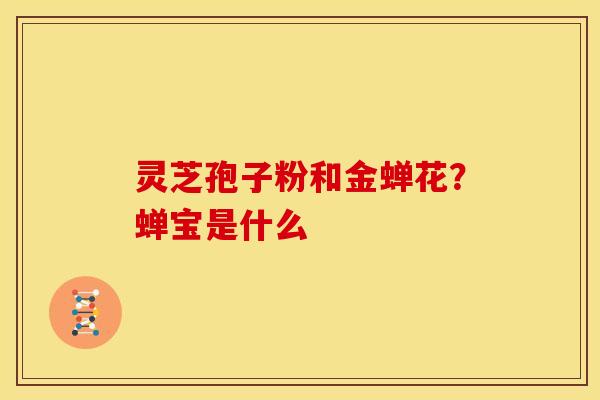 灵芝孢子粉和金蝉花?蝉宝是什么 灵芝孢子粉和金蝉花?蝉宝是什么