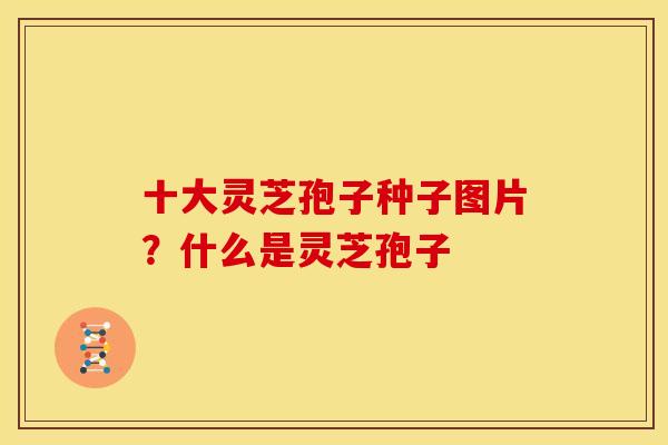 十大灵芝孢子种子图片？什么是灵芝孢子