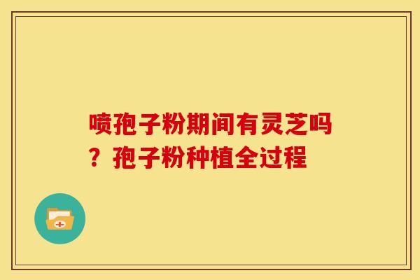 喷孢子粉期间有灵芝吗?孢子粉种植全过程 喷孢子粉期间有灵芝吗?孢子粉种植全过程