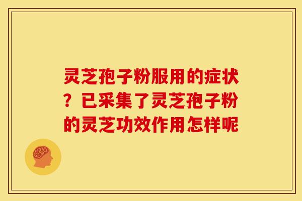 灵芝孢子粉服用的症状?已采集了灵芝孢子粉的灵芝功效作用怎样呢 灵芝孢子粉服用的症状?已采集了灵芝孢子粉的灵芝功效作用怎样呢