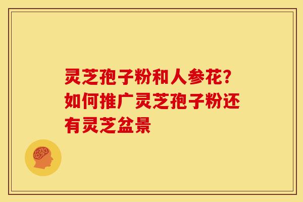 灵芝孢子粉和人参花?如何推广灵芝孢子粉还有灵芝盆景 灵芝孢子粉和人参花?如何推广灵芝孢子粉还有灵芝盆景