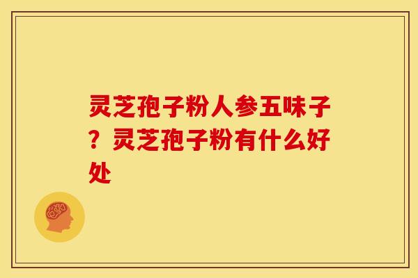 灵芝孢子粉人参五味子？灵芝孢子粉有什么好处