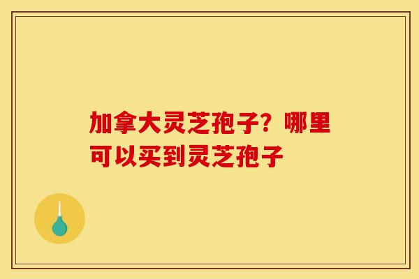 加拿大灵芝孢子？哪里可以买到灵芝孢子