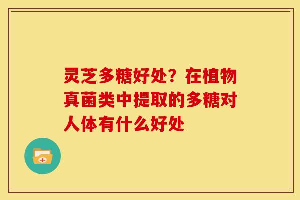 灵芝多糖好处?在植物真菌类中提取的多糖对人体有什么好处 灵芝多糖好处?在植物真菌类中提取的多糖对人体有什么好处