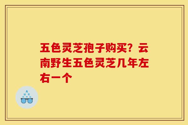 五色灵芝孢子购买?云南野生五色灵芝几年左右一个 五色灵芝孢子购买?云南野生五色灵芝几年左右一个