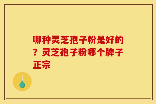 哪种灵芝孢子粉是好的?灵芝孢子粉哪个牌子正宗 哪种灵芝孢子粉是好的?灵芝孢子粉哪个牌子正宗