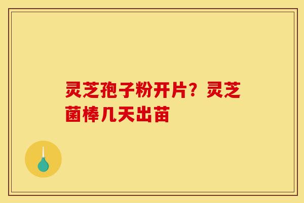 灵芝孢子粉开片?灵芝菌棒几天出苗 灵芝孢子粉开片?灵芝菌棒几天出苗