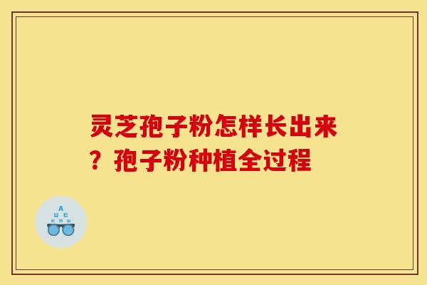 灵芝孢子粉怎样长出来？孢子粉种植全过程