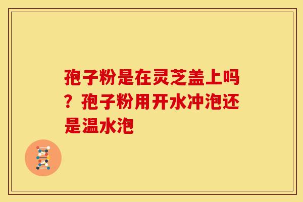孢子粉是在灵芝盖上吗?孢子粉用开水冲泡还是温水泡 孢子粉是在灵芝盖上吗?孢子粉用开水冲泡还是温水泡