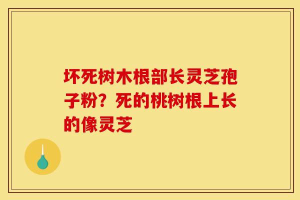 坏死树木根部长灵芝孢子粉?死的桃树根上长的像灵芝 坏死树木根部长灵芝孢子粉?死的桃树根上长的像灵芝