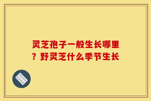 灵芝孢子一般生长哪里?野灵芝什么季节生长 灵芝孢子一般生长哪里?野灵芝什么季节生长