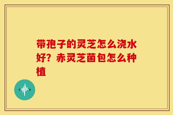带孢子的灵芝怎么浇水好?赤灵芝菌包怎么种植 带孢子的灵芝怎么浇水好?赤灵芝菌包怎么种植