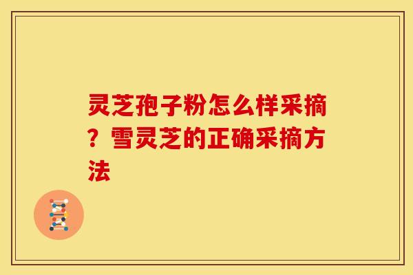 灵芝孢子粉怎么样采摘?雪灵芝的正确采摘方法 灵芝孢子粉怎么样采摘?雪灵芝的正确采摘方法