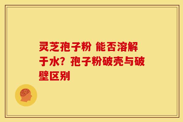 灵芝孢子粉 能否溶解于水?孢子粉破壳与破壁区别 灵芝孢子粉 能否溶解于水?孢子粉破壳与破壁区别