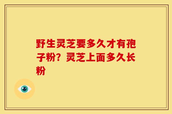 野生灵芝要多久才有孢子粉？灵芝上面多久长粉