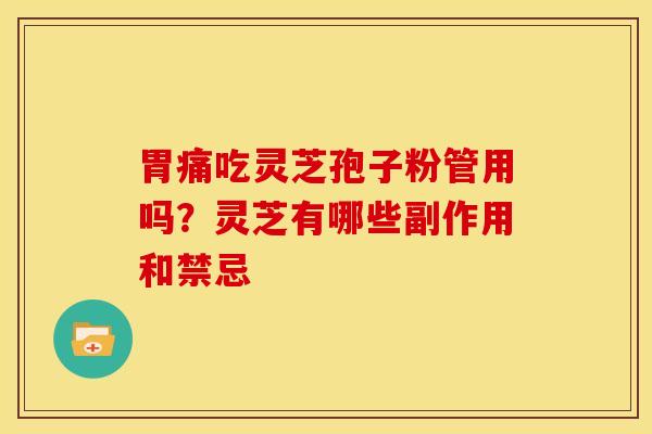 胃痛吃灵芝孢子粉管用吗?灵芝有哪些副作用和禁忌 胃痛吃灵芝孢子粉管用吗?灵芝有哪些副作用和禁忌