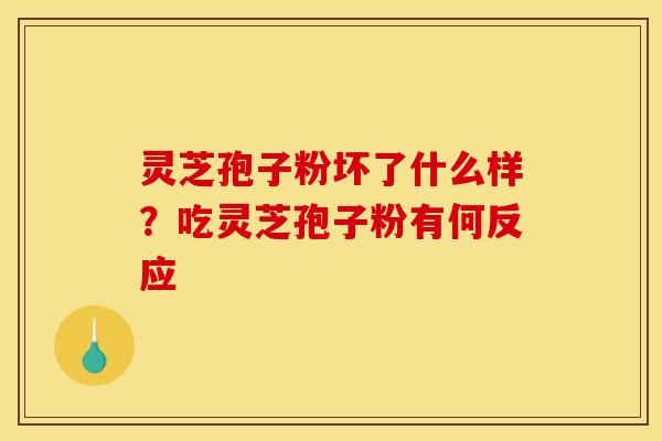 灵芝孢子粉坏了什么样?吃灵芝孢子粉有何反应 灵芝孢子粉坏了什么样?吃灵芝孢子粉有何反应