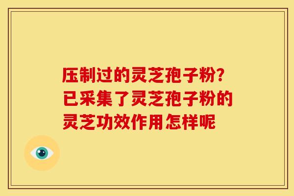 压制过的灵芝孢子粉?已采集了灵芝孢子粉的灵芝功效作用怎样呢 压制过的灵芝孢子粉?已采集了灵芝孢子粉的灵芝功效作用怎样呢