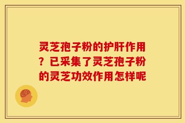 灵芝孢子粉的作用？已采集了灵芝孢子粉的灵芝功效作用怎样呢