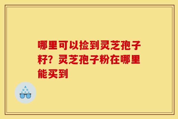 哪里可以捡到灵芝孢子籽?灵芝孢子粉在哪里能买到 哪里可以捡到灵芝孢子籽?灵芝孢子粉在哪里能买到
