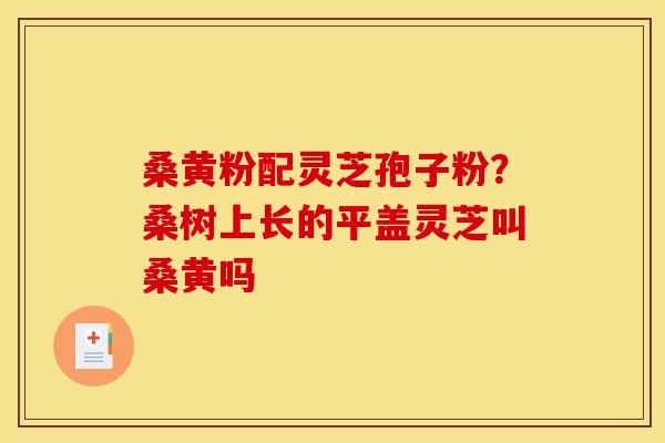 桑黄粉配灵芝孢子粉?桑树上长的平盖灵芝叫桑黄吗 桑黄粉配灵芝孢子粉?桑树上长的平盖灵芝叫桑黄吗