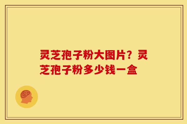 灵芝孢子粉大图片?灵芝孢子粉多少钱一盒 灵芝孢子粉大图片?灵芝孢子粉多少钱一盒