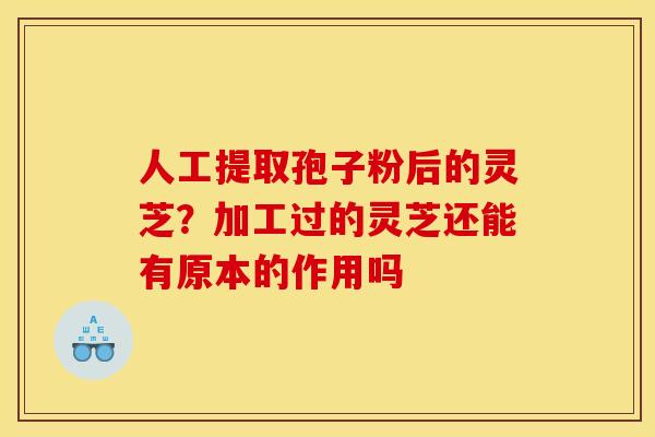 人工提取孢子粉后的灵芝？加工过的灵芝还能有原本的作用吗