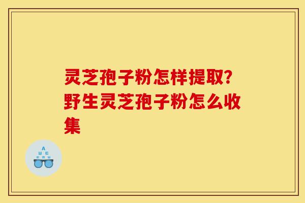 灵芝孢子粉怎样提取?野生灵芝孢子粉怎么收集 灵芝孢子粉怎样提取?野生灵芝孢子粉怎么收集