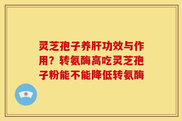 灵芝孢子养功效与作用?转氨酶高吃灵芝孢子粉能不能降低转氨酶 灵芝孢子养功效与作用?转氨酶高吃灵芝孢子粉能不能降低转氨酶