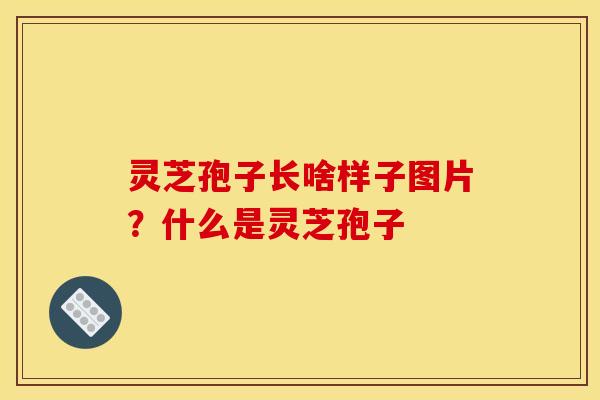 灵芝孢子长啥样子图片？什么是灵芝孢子