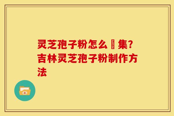 灵芝孢子粉怎么釆集?吉林灵芝孢子粉制作方法 灵芝孢子粉怎么釆集?吉林灵芝孢子粉制作方法