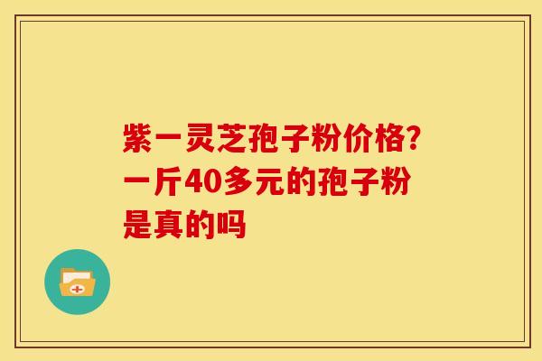 紫一灵芝孢子粉价格?一斤40多元的孢子粉是真的吗 紫一灵芝孢子粉价格?一斤40多元的孢子粉是真的吗