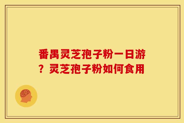 番禺灵芝孢子粉一日游？灵芝孢子粉如何食用