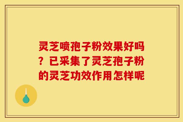 灵芝喷孢子粉效果好吗?已采集了灵芝孢子粉的灵芝功效作用怎样呢 灵芝喷孢子粉效果好吗?已采集了灵芝孢子粉的灵芝功效作用怎样呢