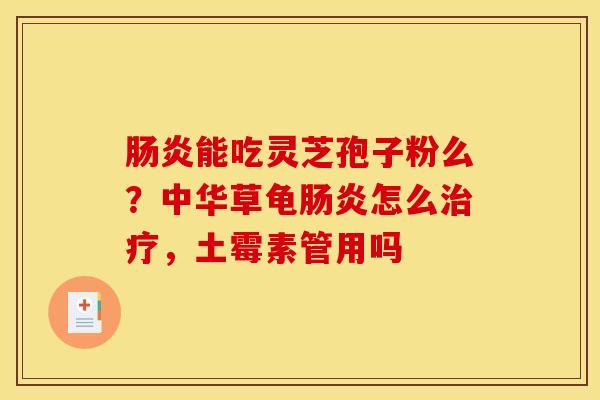 能吃灵芝孢子粉么?中华草龟怎么,土霉素管用吗 能吃灵芝孢子粉么?中华草龟怎么,土霉素管用吗