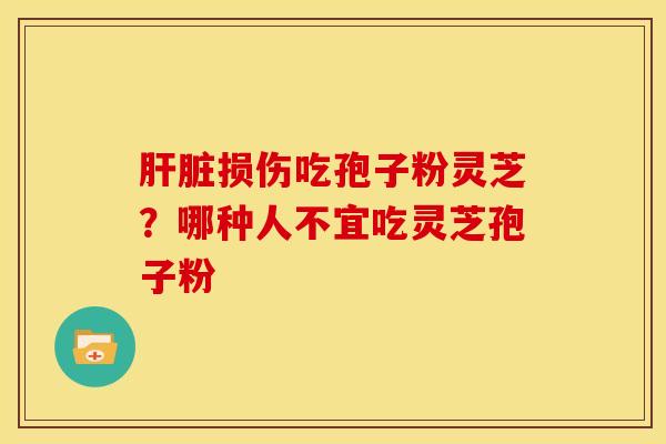 损伤吃孢子粉灵芝?哪种人不宜吃灵芝孢子粉 损伤吃孢子粉灵芝?哪种人不宜吃灵芝孢子粉