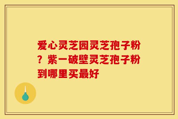 爱心灵芝园灵芝孢子粉?紫一破壁灵芝孢子粉到哪里买好 爱心灵芝园灵芝孢子粉?紫一破壁灵芝孢子粉到哪里买好