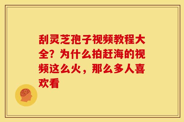 刮灵芝孢子视频教程大全?为什么拍赶海的视频这么火,那么多人喜欢看 刮灵芝孢子视频教程大全?为什么拍赶海的视频这么火,那么多人喜欢看