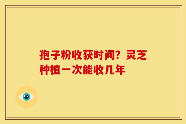 孢子粉收获时间？灵芝种植一次能收几年
