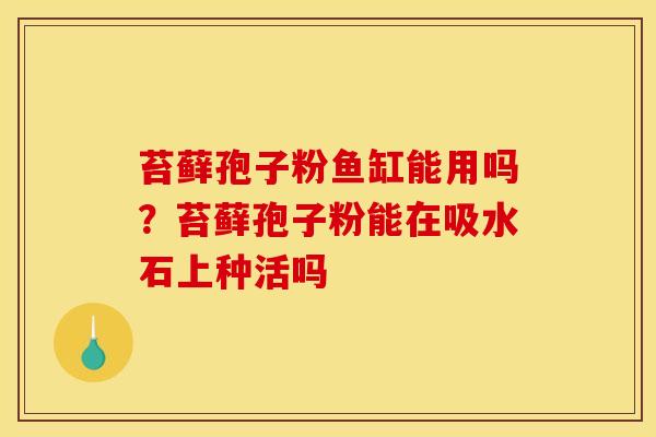 苔藓孢子粉鱼缸能用吗？苔藓孢子粉能在吸水石上种活吗